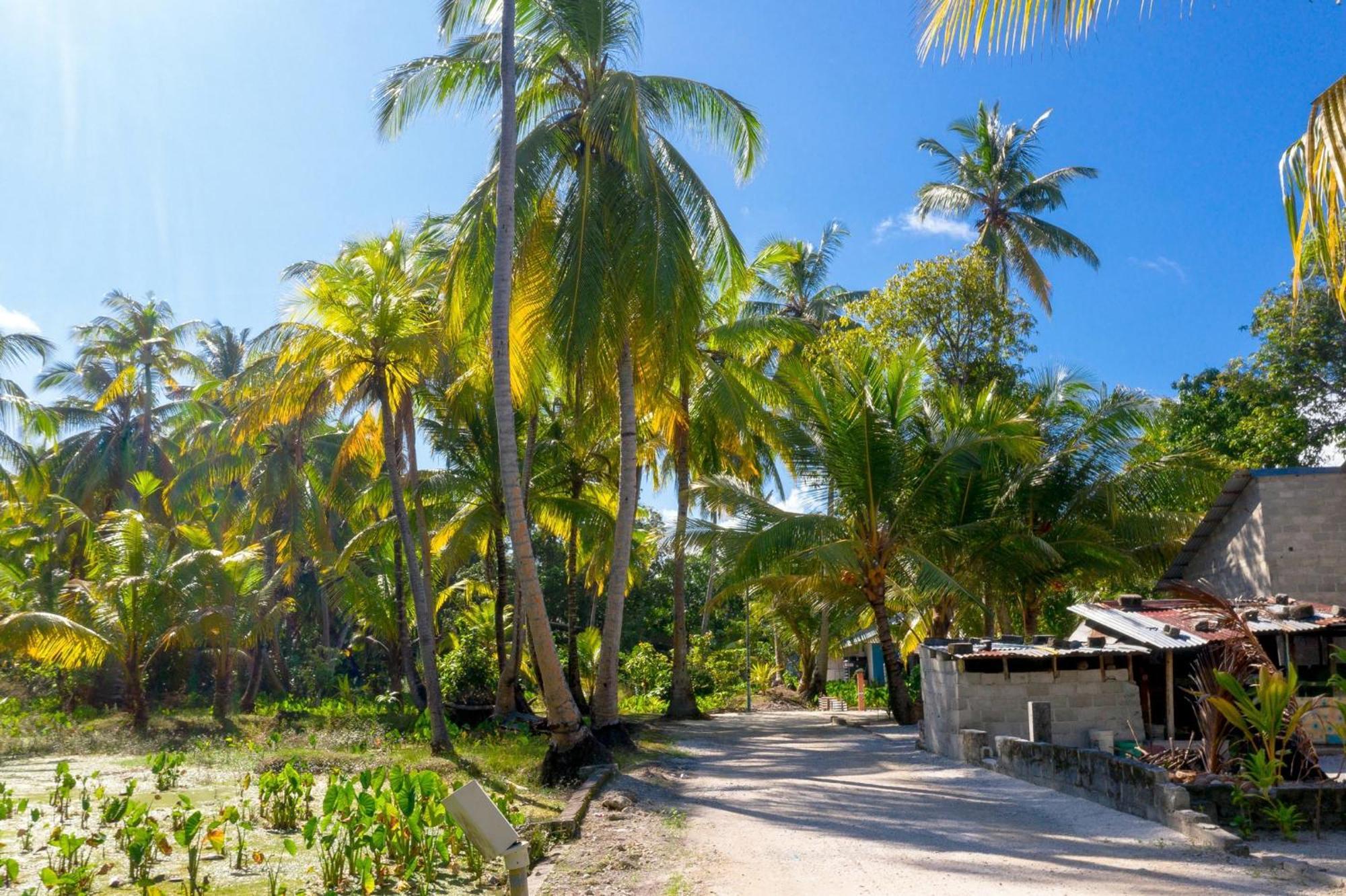 Hotel Millennium à Fuvahmulah Extérieur photo